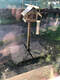 carousel chooser